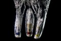patrick_b3 tubes tirage